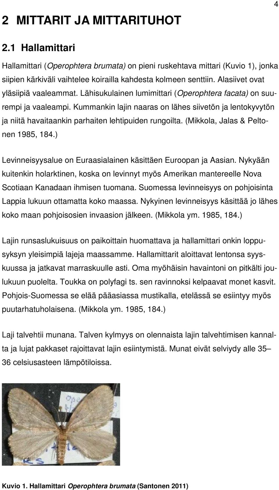 Kummankin lajin naaras on lähes siivetön ja lentokyvytön ja niitä havaitaankin parhaiten lehtipuiden rungoilta. (Mikkola, Jalas & Peltonen 1985, 184.