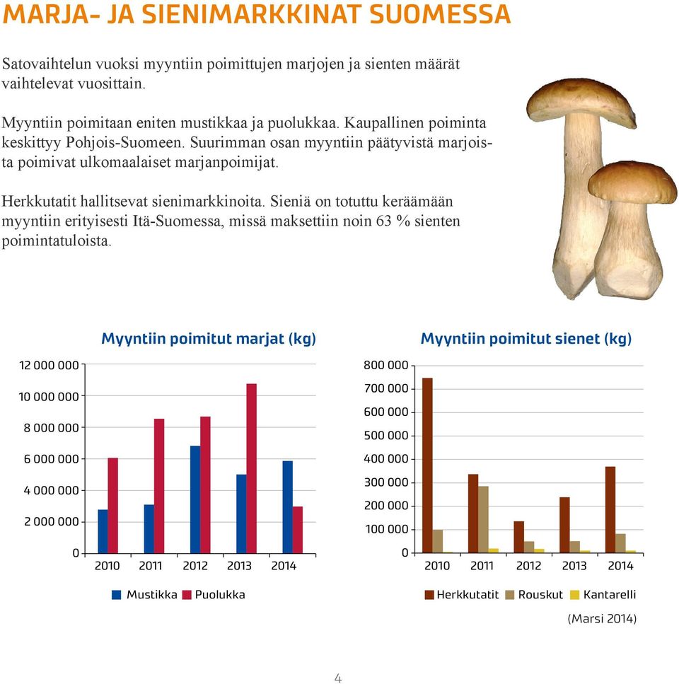 Sieniä on totuttu keräämään myyntiin erityisesti Itä-Suomessa, missä maksettiin noin 63 % sienten poimintatuloista.