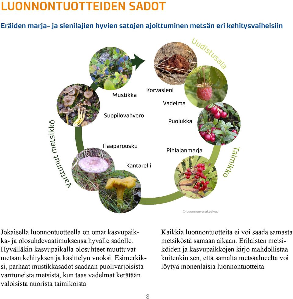 Hyvälläkin kasvupaikalla olosuhteet muuttuvat metsän kehityksen ja käsittelyn vuoksi.