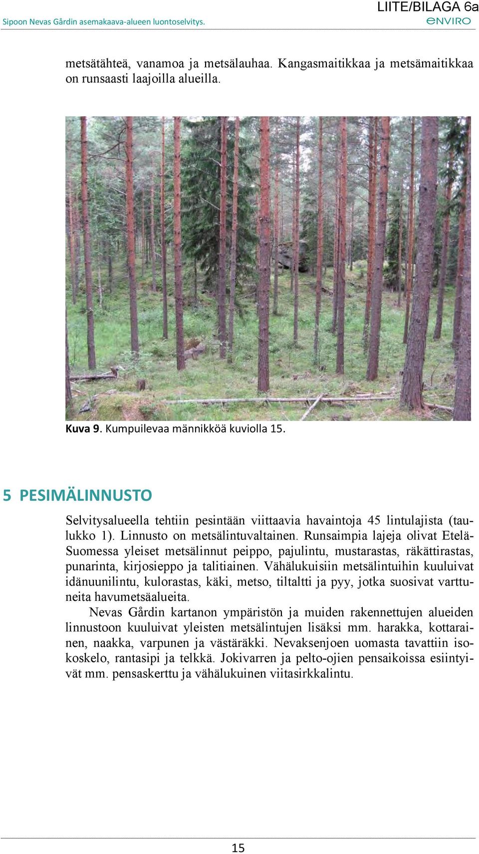 Runsaimpia lajeja olivat Etelä- Suomessa yleiset metsälinnut peippo, pajulintu, mustarastas, räkättirastas, punarinta, kirjosieppo ja talitiainen.
