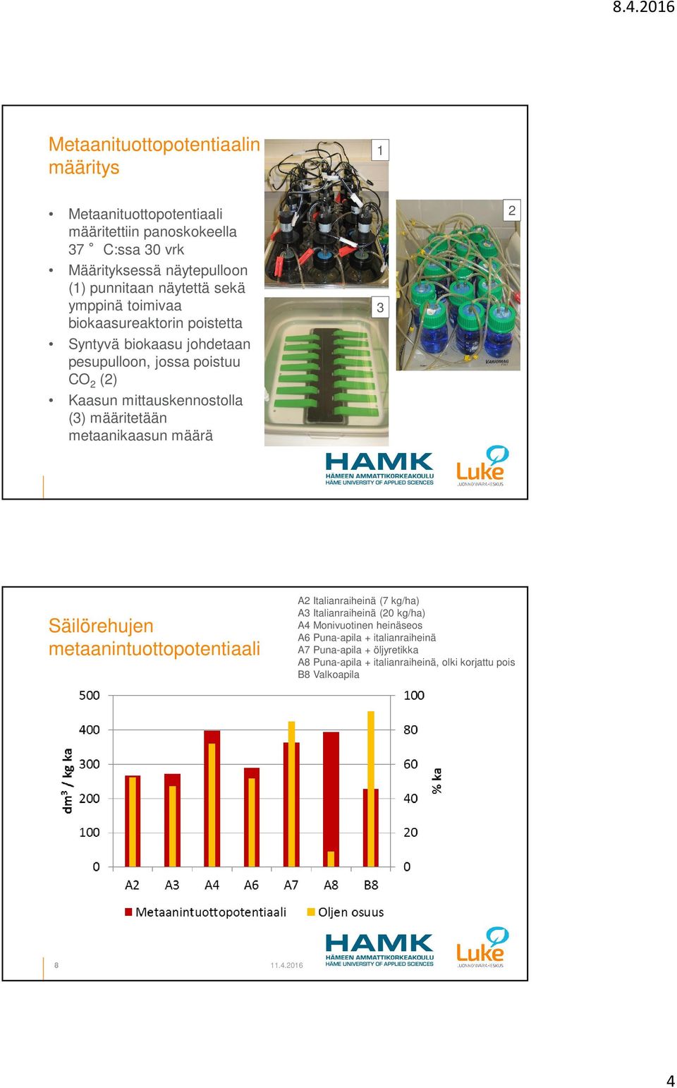 (3) määritetään metaanikaasun määrä 3 2 Säilörehujen metaanintuottopotentiaali A2 Italianraiheinä (7 kg/ha) A3 Italianraiheinä (20 kg/ha) A4