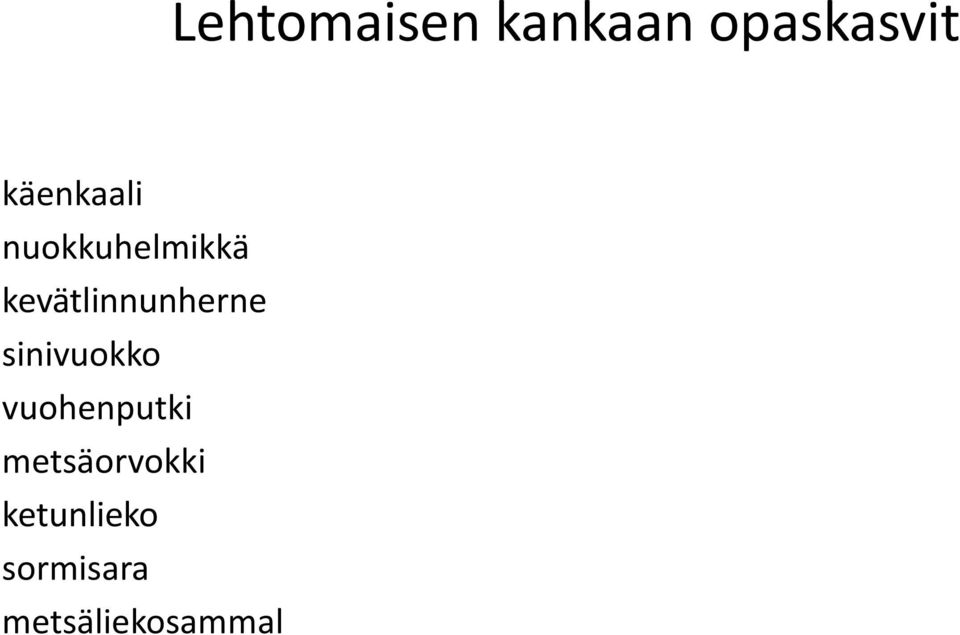 kevätlinnunherne sinivuokko