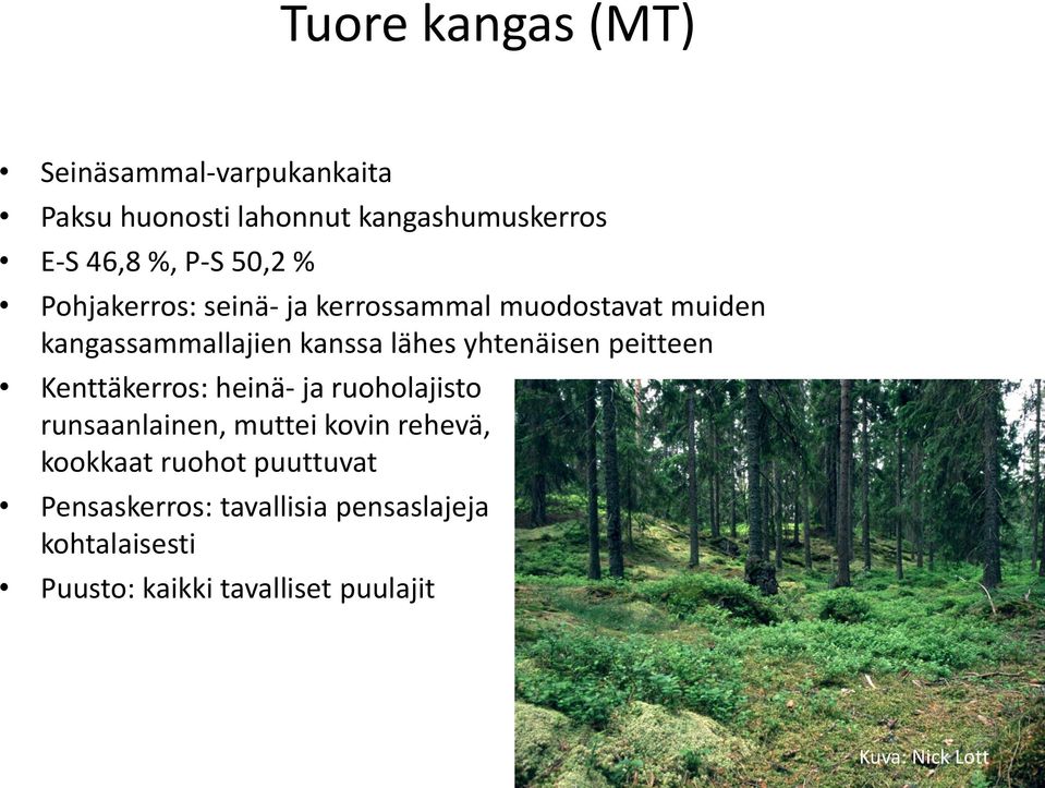 peitteen Kenttäkerros: heinä- ja ruoholajisto runsaanlainen, muttei kovin rehevä, kookkaat ruohot