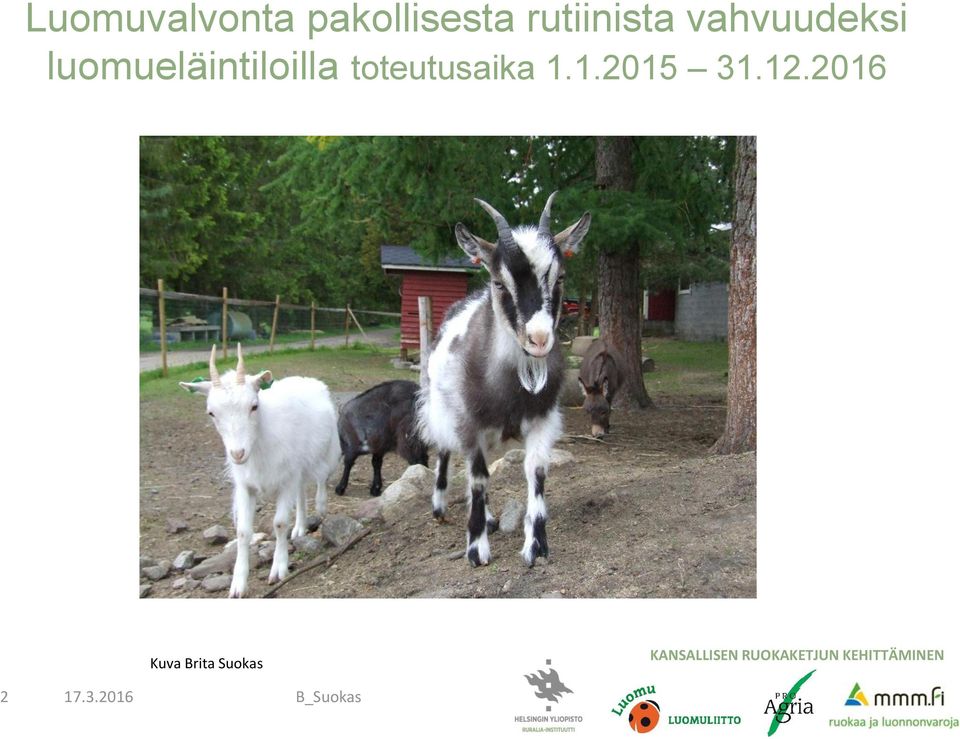 luomueläintiloilla toteutusaika 1.