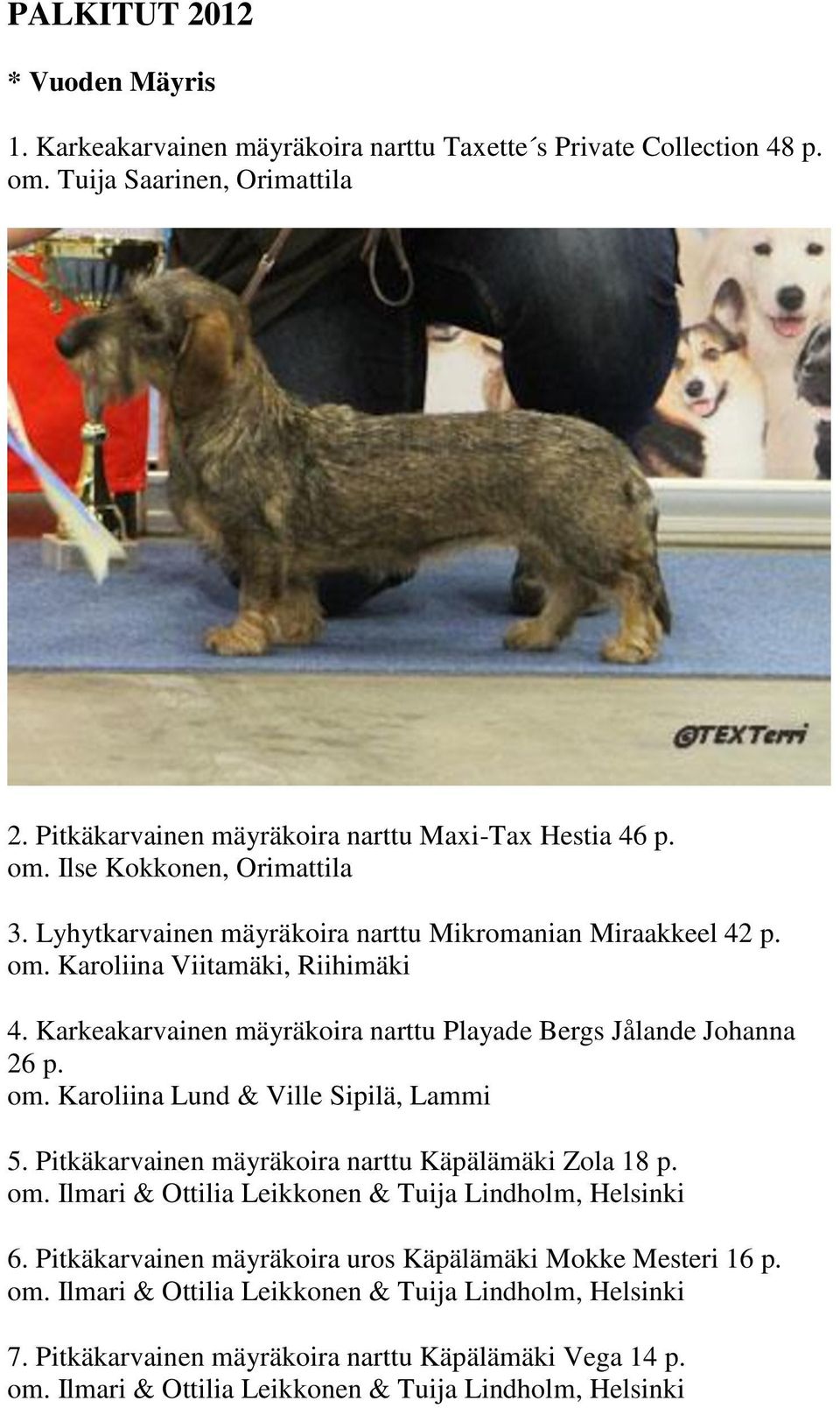 Pitkäkarvainen mäyräkoira narttu Käpälämäki Zola 18 p. om. Ilmari & Ottilia Leikkonen & Tuija Lindholm, Helsinki 6. Pitkäkarvainen mäyräkoira uros Käpälämäki Mokke Mesteri 16 p. om. Ilmari & Ottilia Leikkonen & Tuija Lindholm, Helsinki 7.