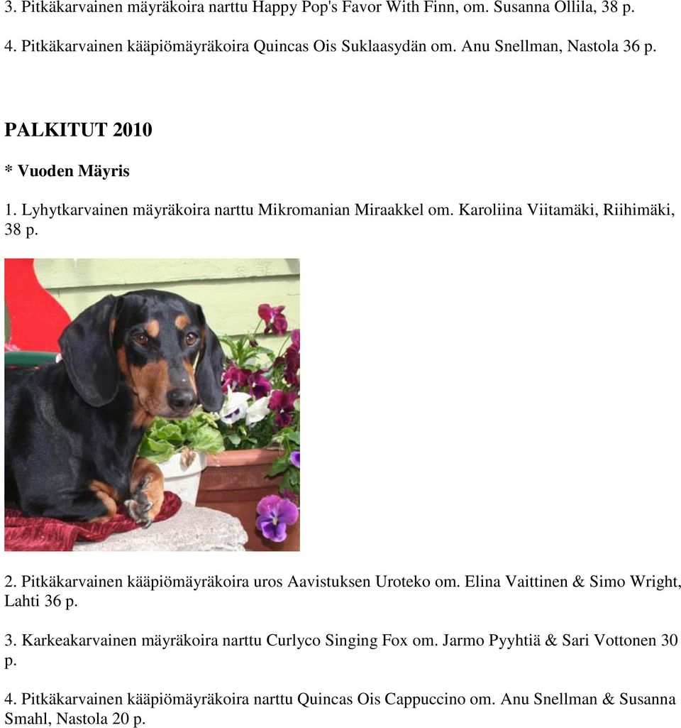2. Pitkäkarvainen kääpiömäyräkoira uros Aavistuksen Uroteko om. Elina Vaittinen & Simo Wright, Lahti 36