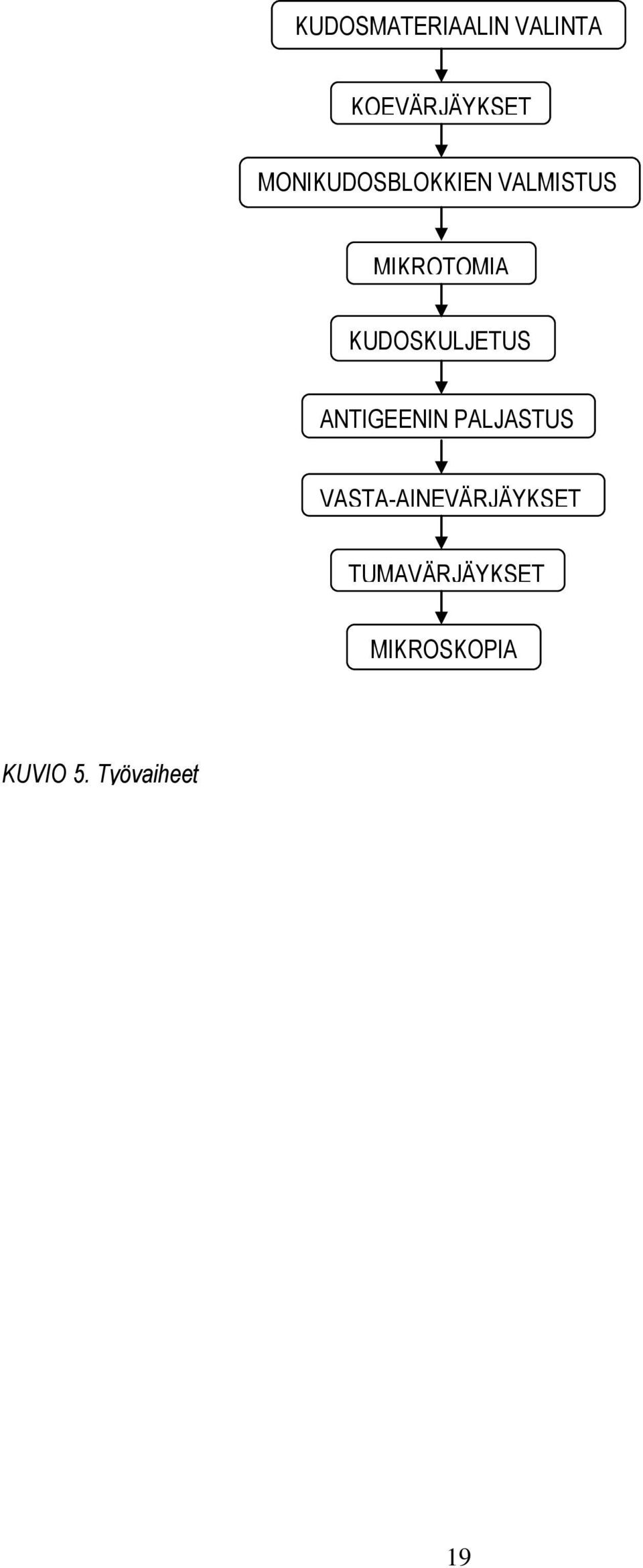 KUDOSKULJETUS ANTIGEENIN PALJASTUS