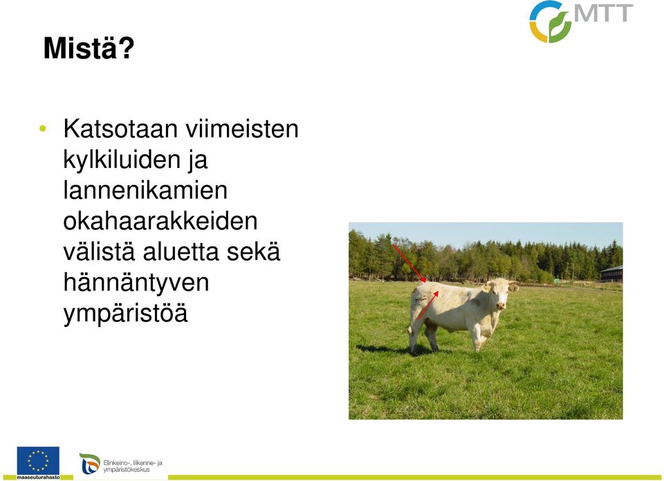 kylkiluiden ja lannenikamien
