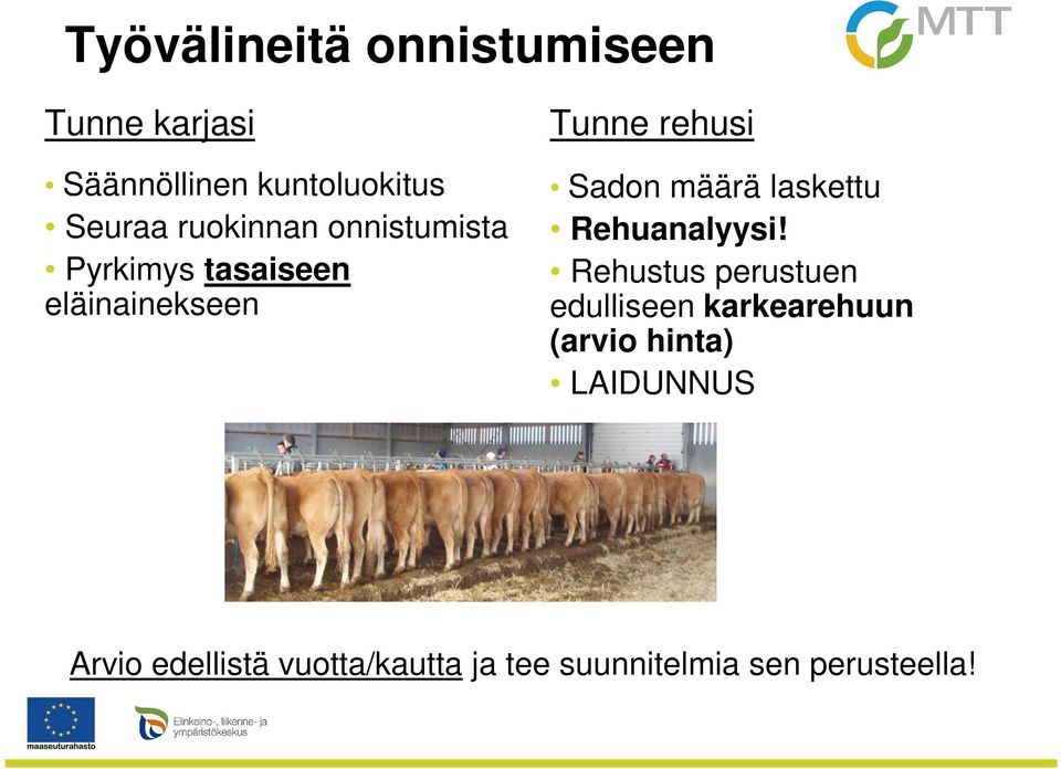 määrä laskettu Rehuanalyysi!