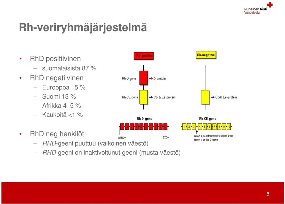 Kaukoitä <1 % RhD neg henkilöt RHD-geeni puuttuu