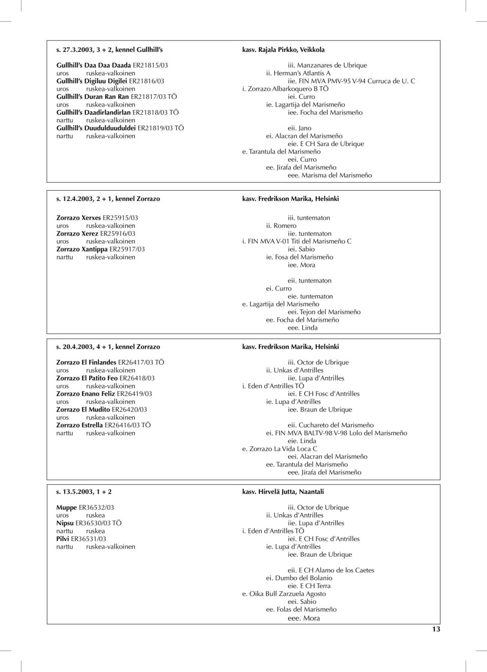 Curro uros ruskea-valkoinen ie. Lagartija del Marismeño Gullhill s Daadirlandirlan ER21818/03 TÖ iee. Focha del Marismeño narttu ruskea-valkoinen Gullhill s Duudulduuduldei ER21819/03 TÖ eii.