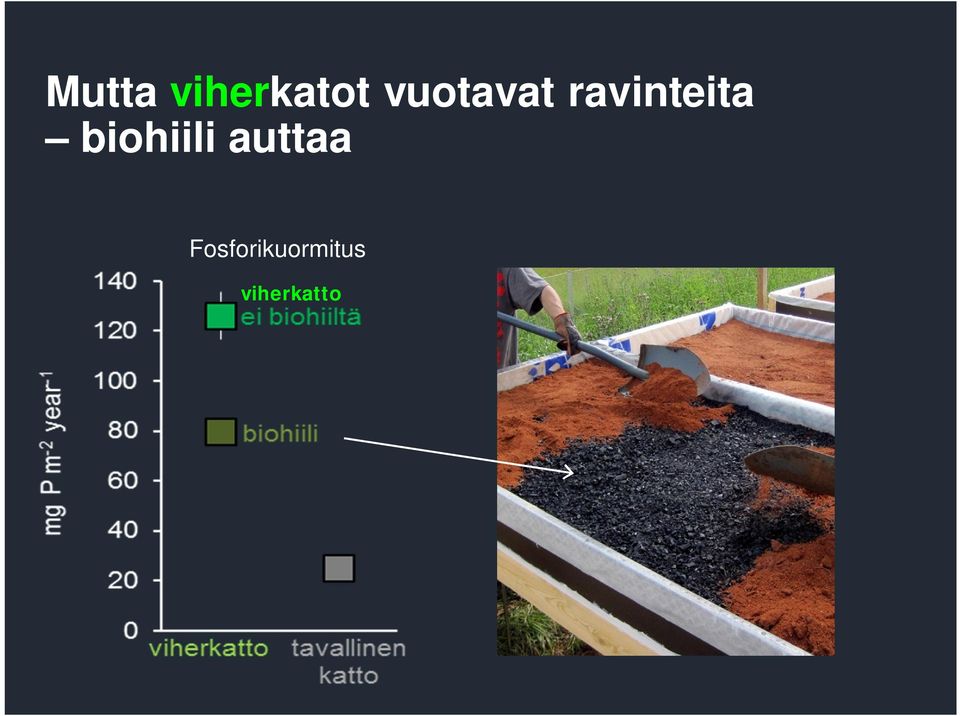 biohiili auttaa