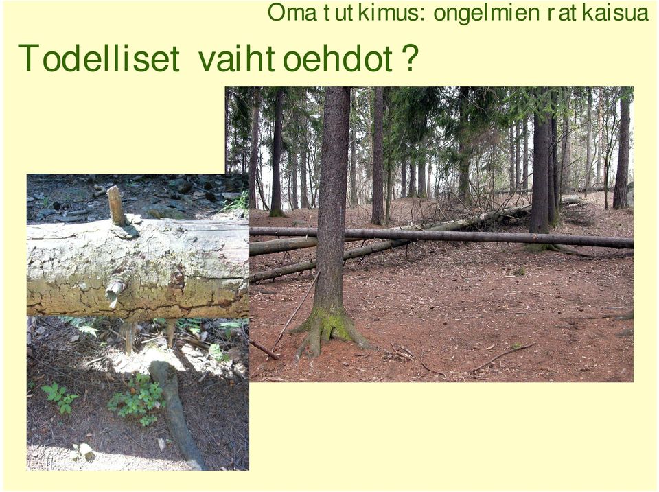 Oma tutkimus: