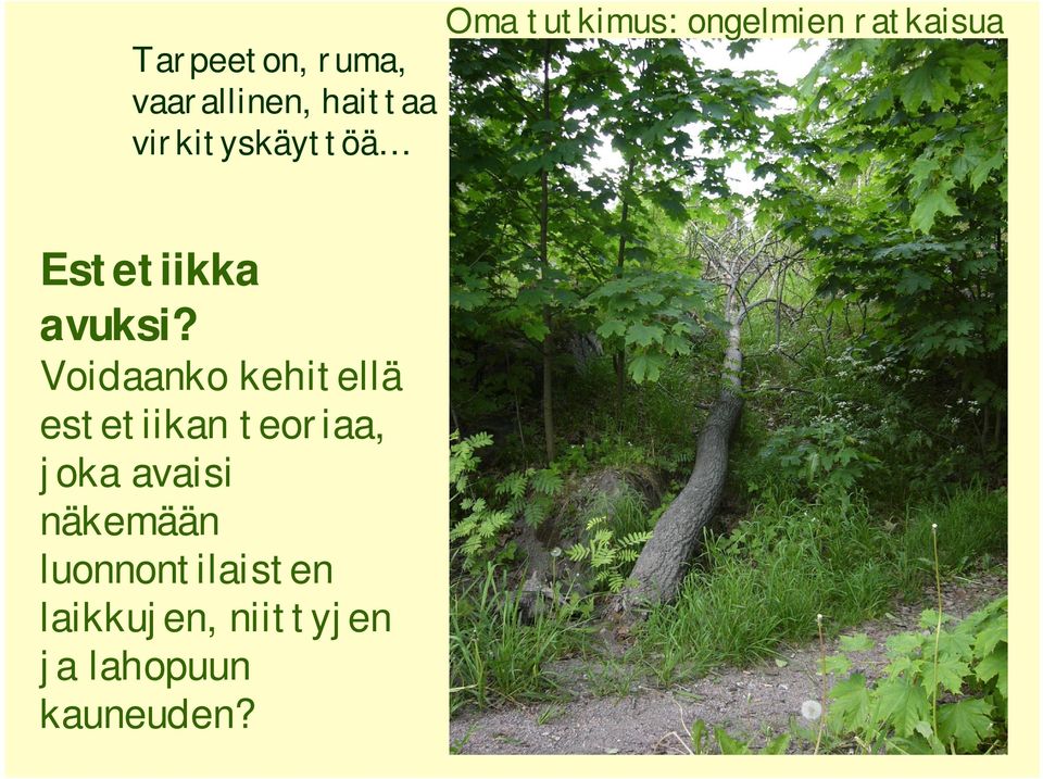 Voidaanko kehitellä estetiikan teoriaa, joka avaisi