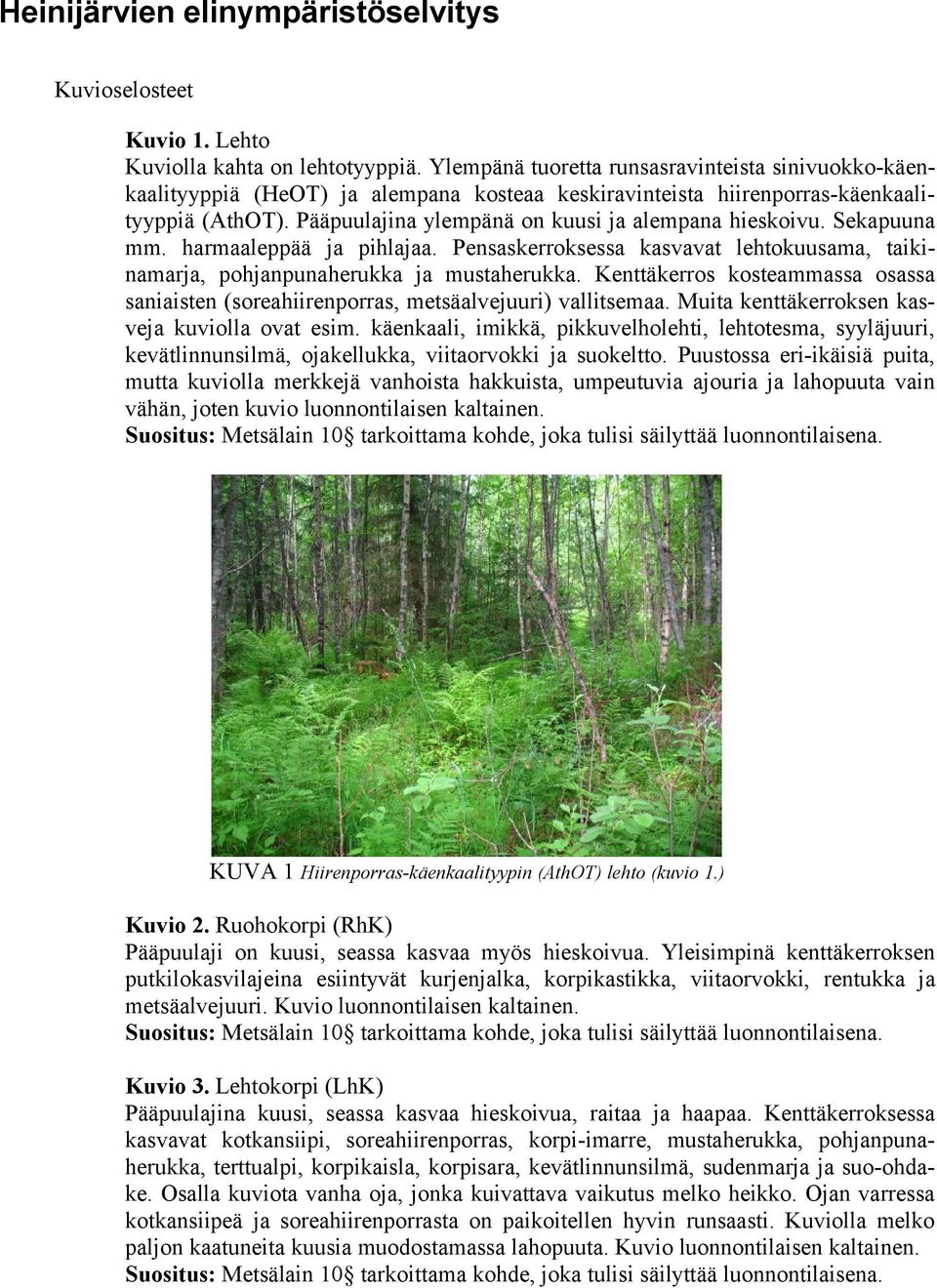 Sekapuuna mm. harmaaleppää ja pihlajaa. Pensaskerroksessa kasvavat lehtokuusama, taikinamarja, pohjanpunaherukka ja mustaherukka.