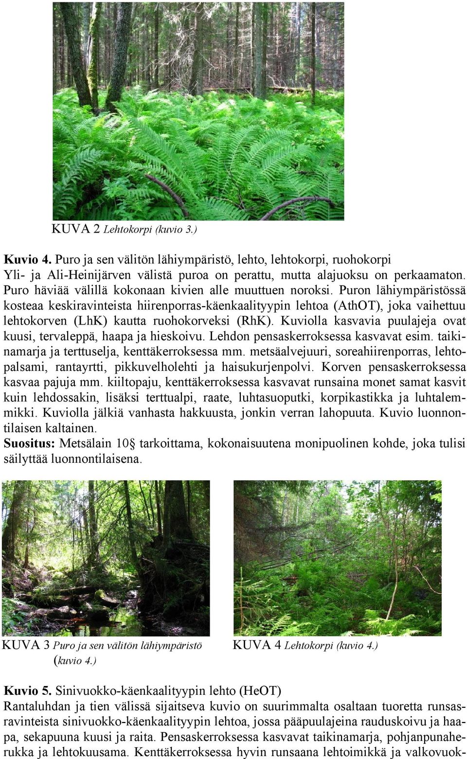 Puron lähiympäristössä kosteaa keskiravinteista hiirenporras-käenkaalityypin lehtoa (AthOT), joka vaihettuu lehtokorven (LhK) kautta ruohokorveksi (RhK).