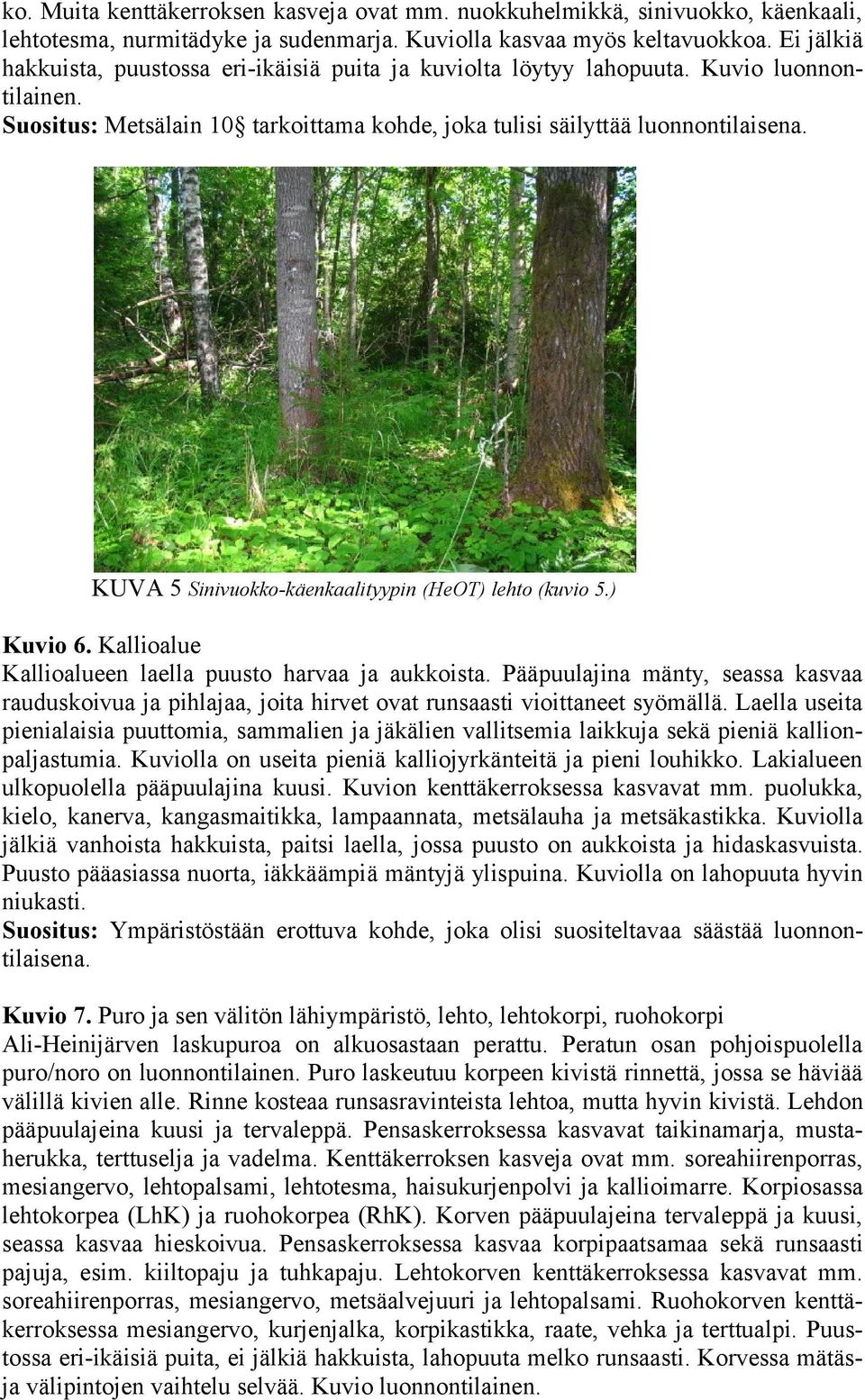 Kallioalue Kallioalueen laella puusto harvaa ja aukkoista. Pääpuulajina mänty, seassa kasvaa rauduskoivua ja pihlajaa, joita hirvet ovat runsaasti vioittaneet syömällä.