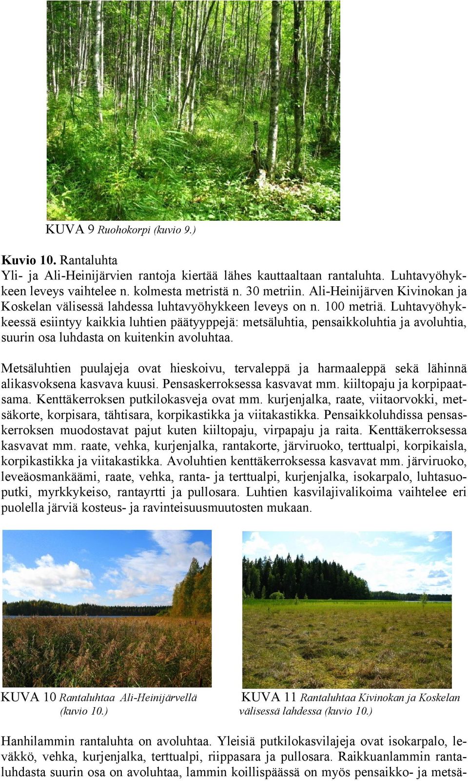 Luhtavyöhykkeessä esiintyy kaikkia luhtien päätyyppejä: metsäluhtia, pensaikkoluhtia ja avoluhtia, suurin osa luhdasta on kuitenkin avoluhtaa.