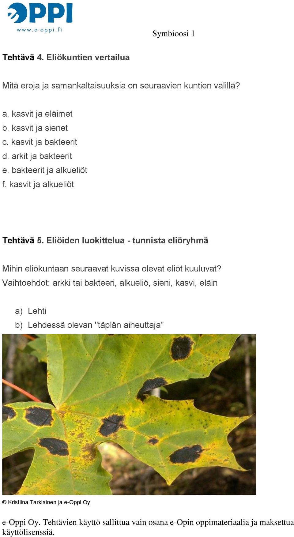 Eliöiden luokittelua - tunnista eliöryhmä Mihin eliökuntaan seuraavat kuvissa olevat eliöt