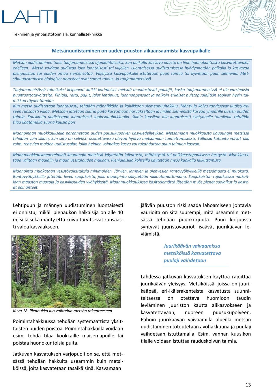 Viljelyssä kasvupaikalle istutetaan puun taimia tai kylvetään puun siemeniä.