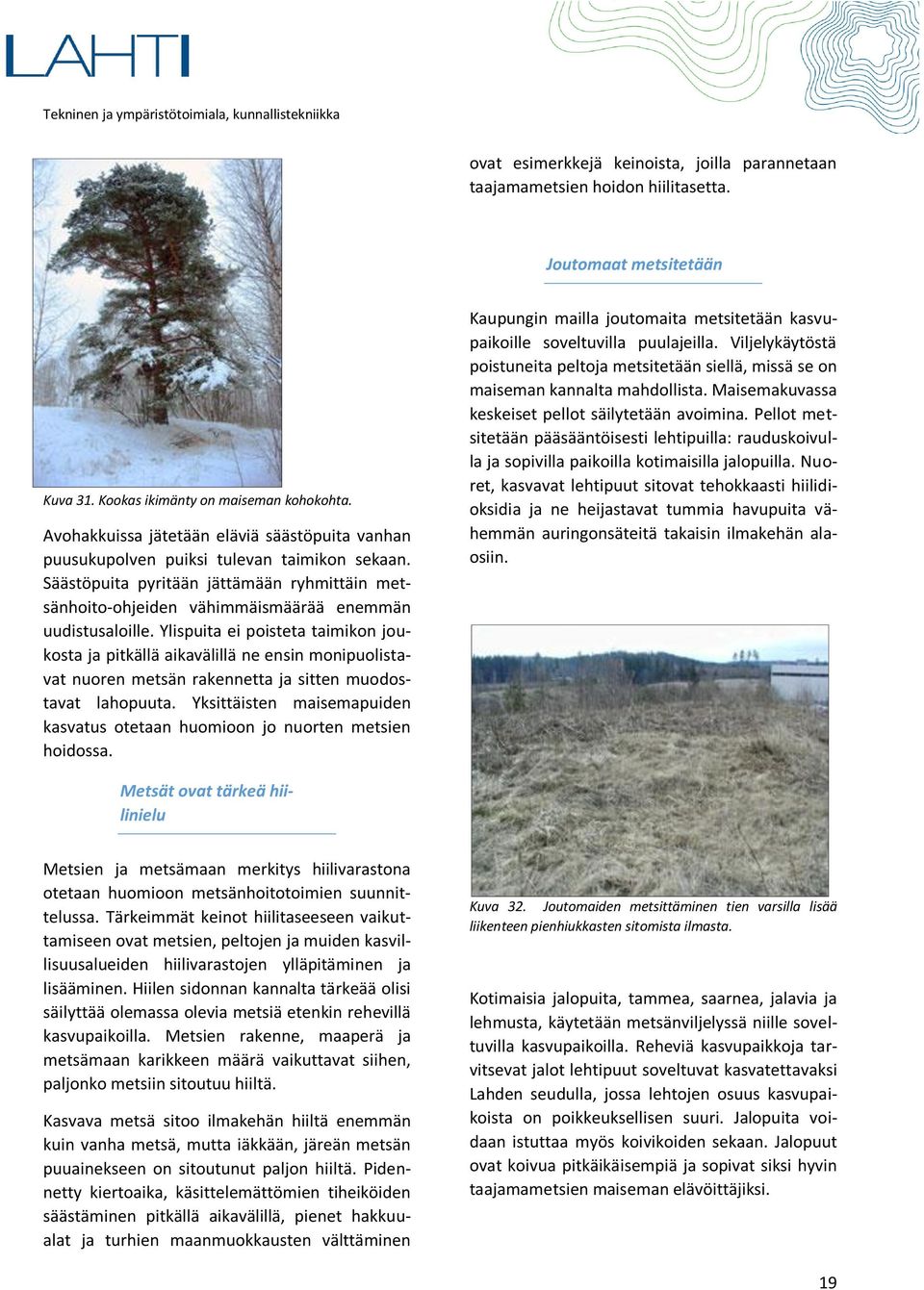 Ylispuita ei poisteta taimikon joukosta ja pitkällä aikavälillä ne ensin monipuolistavat nuoren metsän rakennetta ja sitten muodostavat lahopuuta.