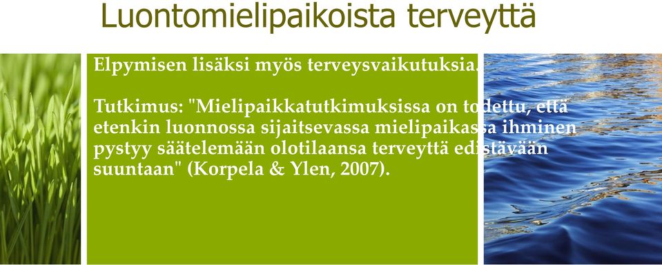 Tutkimus: "Mielipaikkatutkimuksissa on todettu, että etenkin