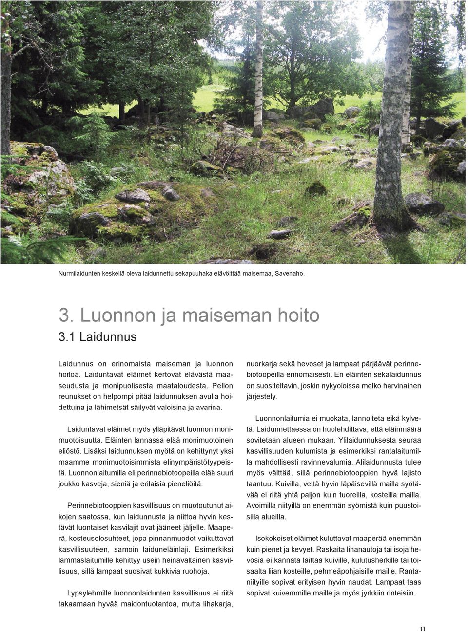 Laiduntavat eläimet myös ylläpitävät luonnon monimuotoisuutta. Eläinten lannassa elää monimuotoinen eliöstö.