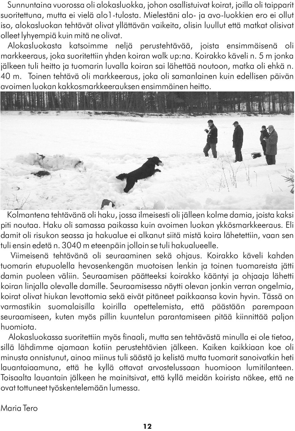 Alokasluokasta katsoimme neljä perustehtävää, joista ensimmäisenä oli markkeeraus, joka suoritettiin yhden koiran walk up:na. Koirakko käveli n.