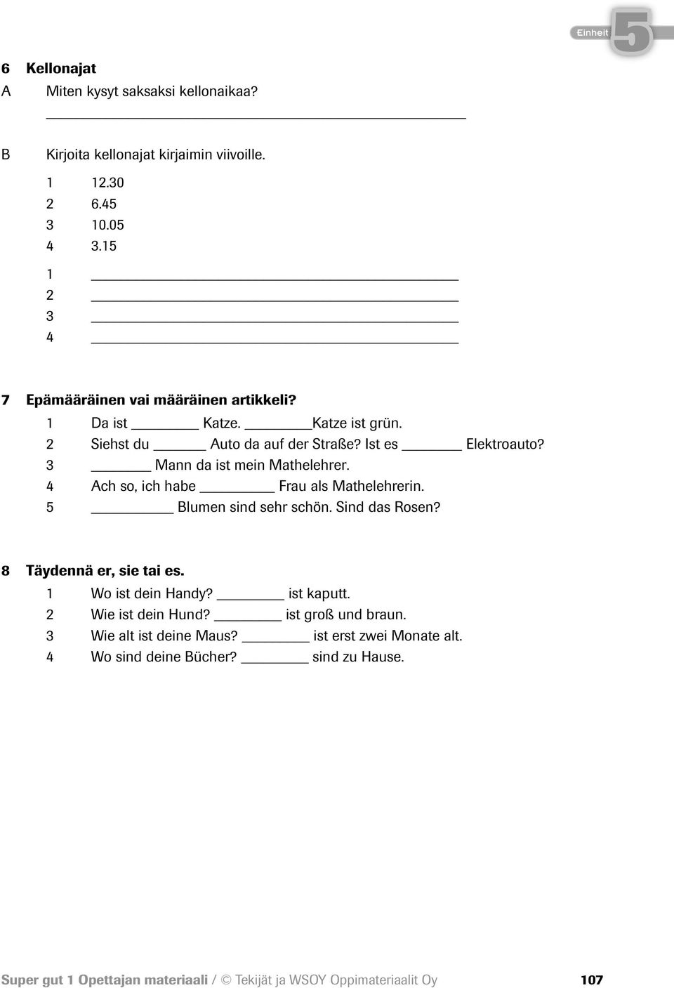 3 Mann da ist mein Mathelehrer. 4 Ach so, ich habe Frau als Mathelehrerin. Blumen sind sehr schön. Sind das Rosen? 8 Täydennä er, sie tai es.