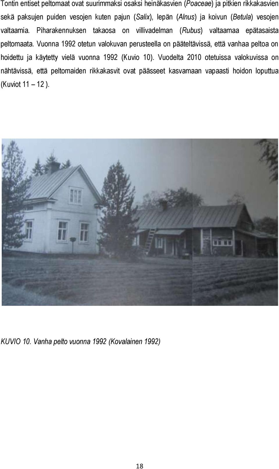 Vuonna 1992 otetun valokuvan perusteella on pääteltävissä, että vanhaa peltoa on hoidettu ja käytetty vielä vuonna 1992 (Kuvio 10).