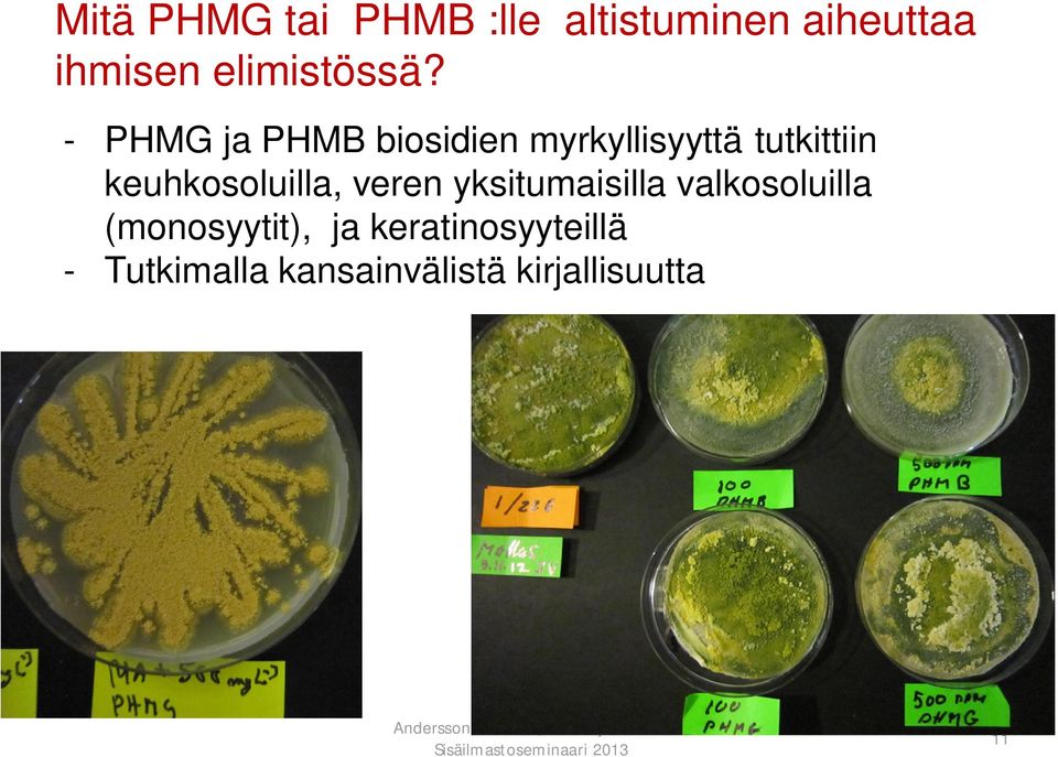 - PHMG ja PHMB biosidien myrkyllisyyttä tutkittiin