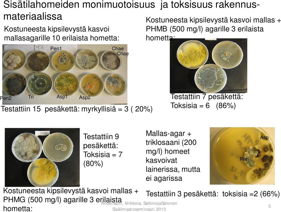 Testattiin 7 pesäkettä: Toksisia = 6 (86%) Testattiin 9 pesäkettä: Toksisia = 7 (80%) Kostuneesta kipsilevystä kasvoi mallas + PHMG (500 mg/l) agarille 3