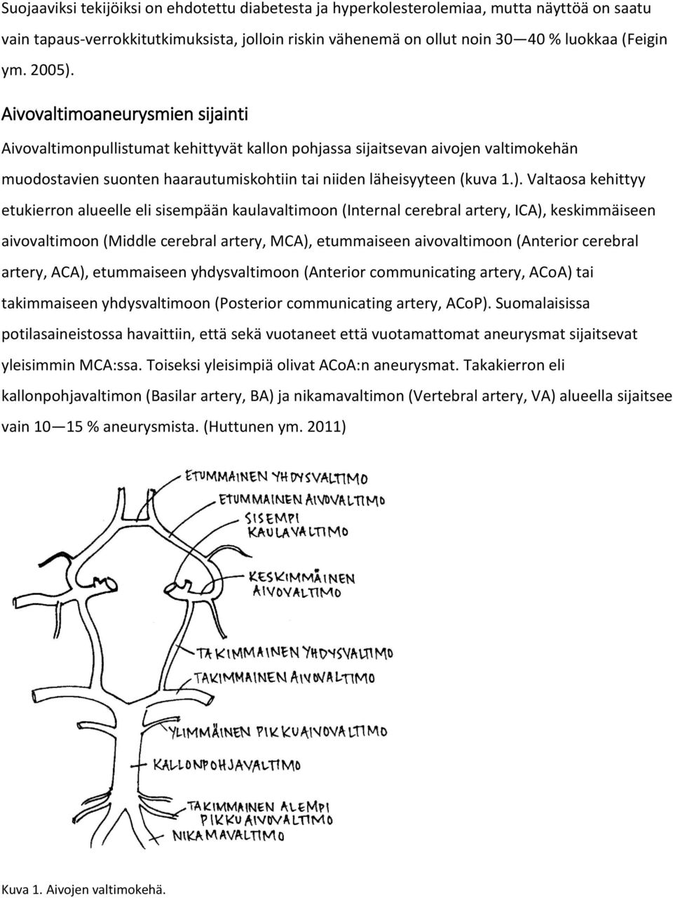 Aivovaltimoaneurysmien sijainti Aivovaltimonpullistumat kehittyvät kallon pohjassa sijaitsevan aivojen valtimokehän muodostavien suonten haarautumiskohtiin tai niiden läheisyyteen (kuva 1.).