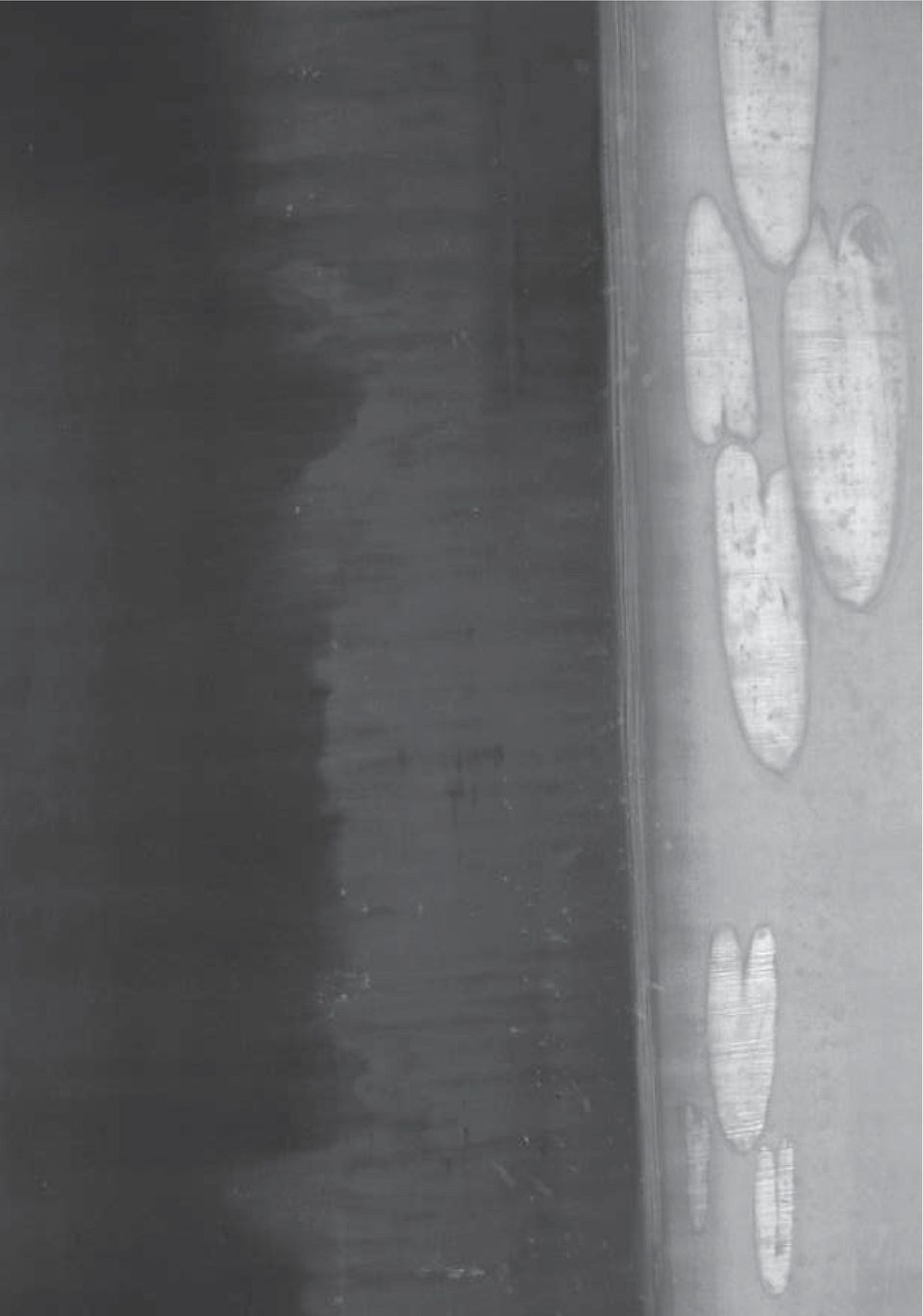 2/2009