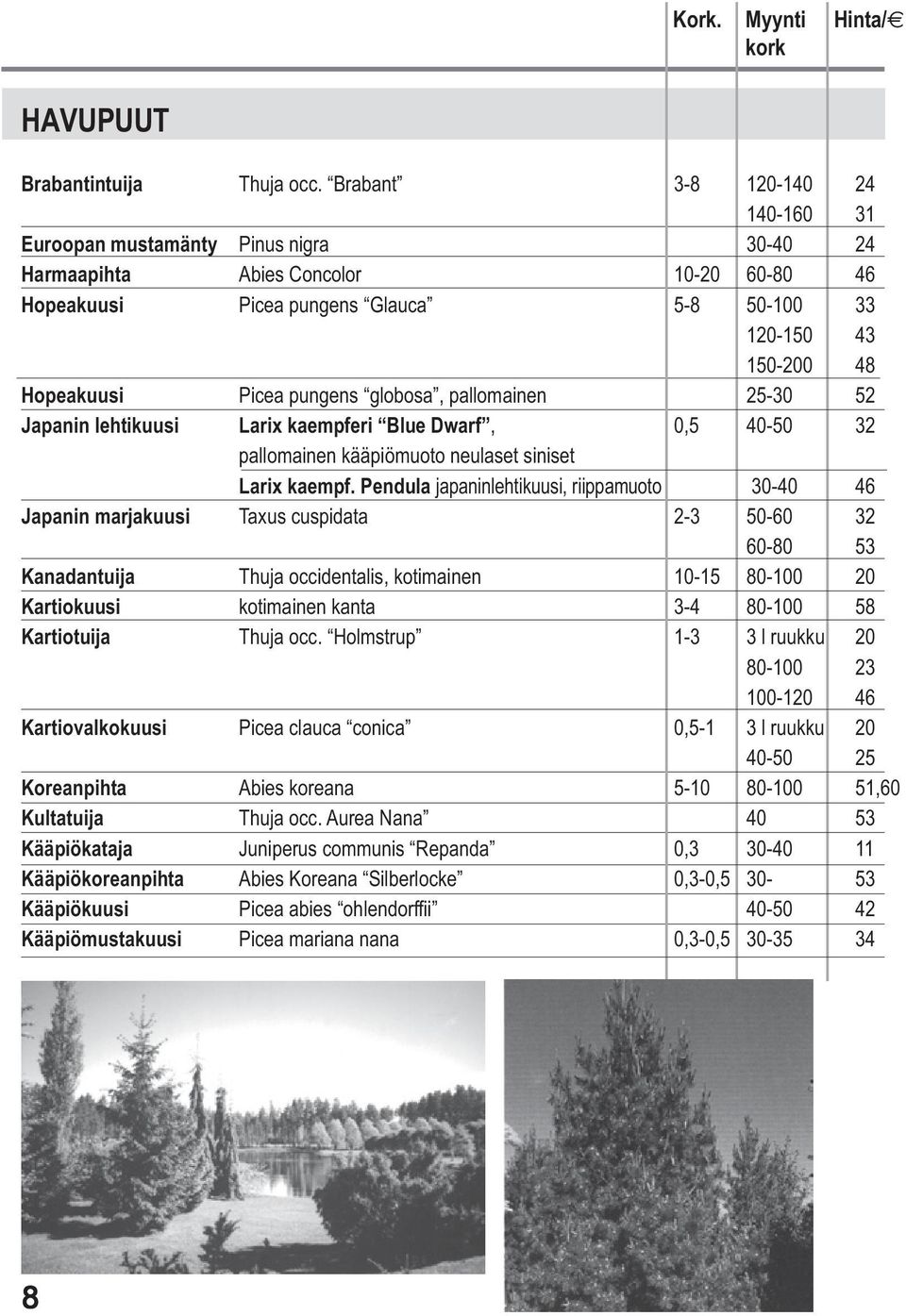 Picea pungens globosa, pallomainen 25-30 52 Japanin lehtikuusi Larix kaempferi Blue Dwarf, 0,5 40-50 32 pallomainen kääpiömuoto neulaset siniset Larix kaempf.