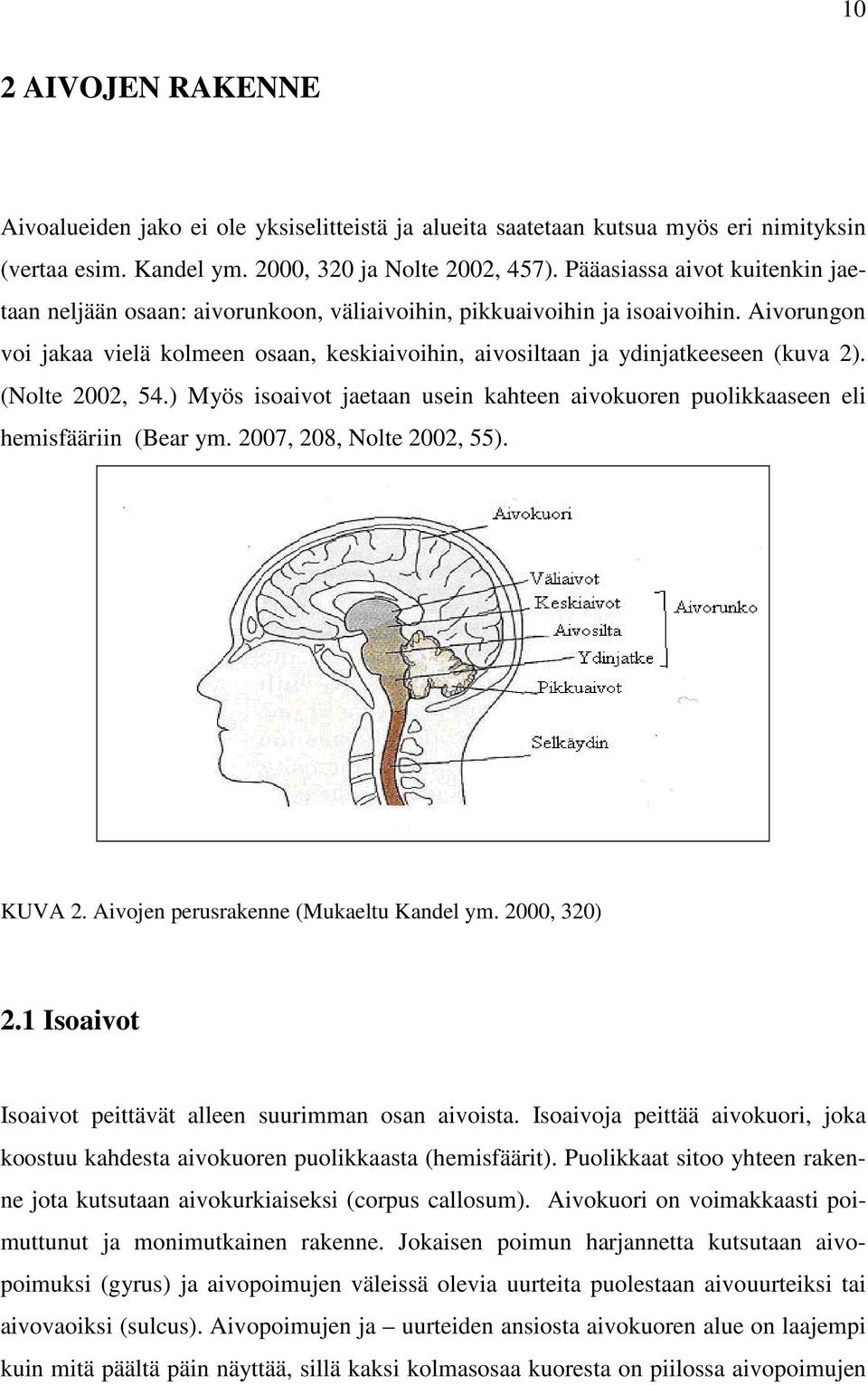 Aivorungon voi jakaa vielä kolmeen osaan, keskiaivoihin, aivosiltaan ja ydinjatkeeseen (kuva 2). (Nolte 2002, 54.