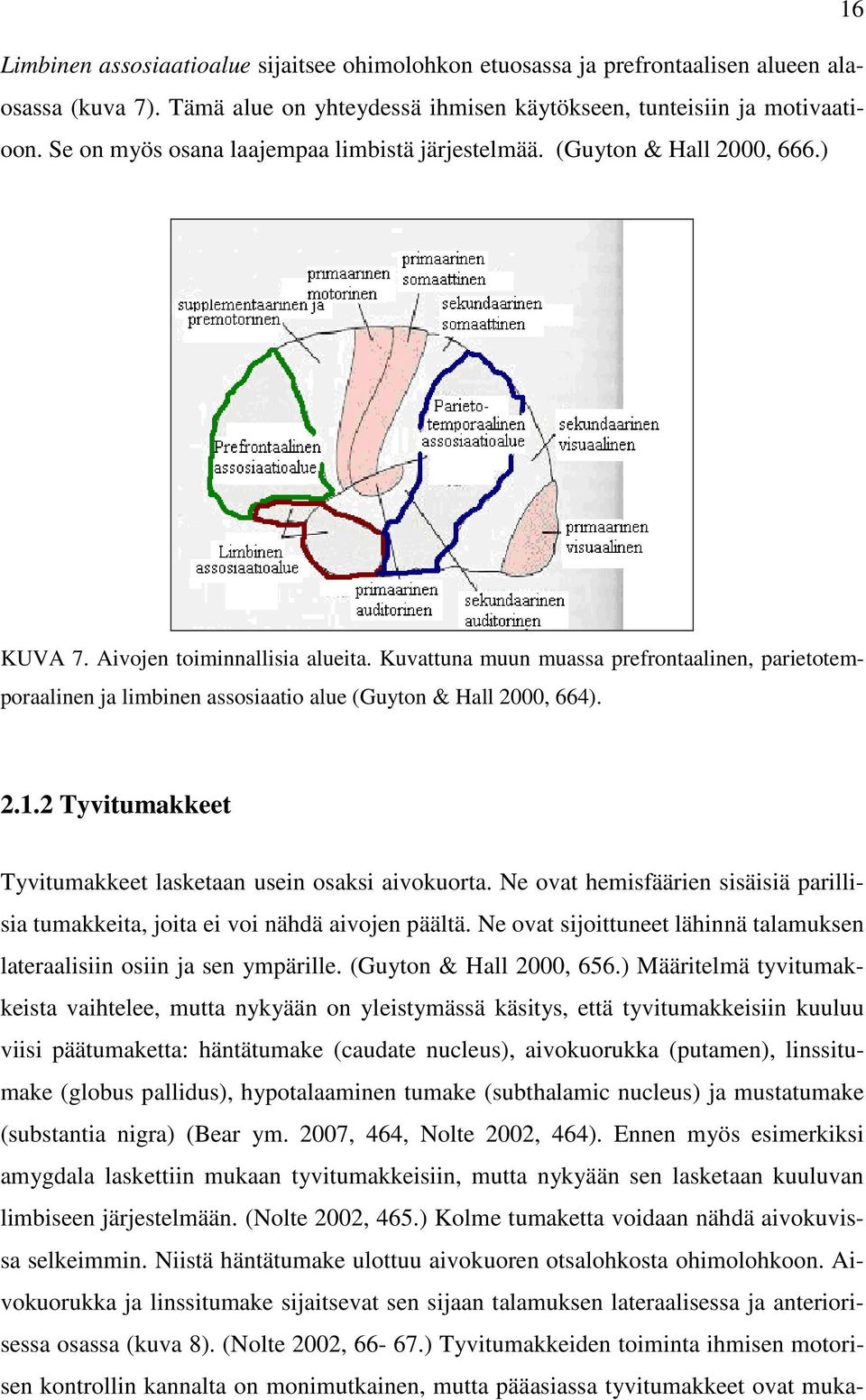 Kuvattuna muun muassa prefrontaalinen, parietotemporaalinen ja limbinen assosiaatio alue (Guyton & Hall 2000, 664). 2.1.2 Tyvitumakkeet Tyvitumakkeet lasketaan usein osaksi aivokuorta.