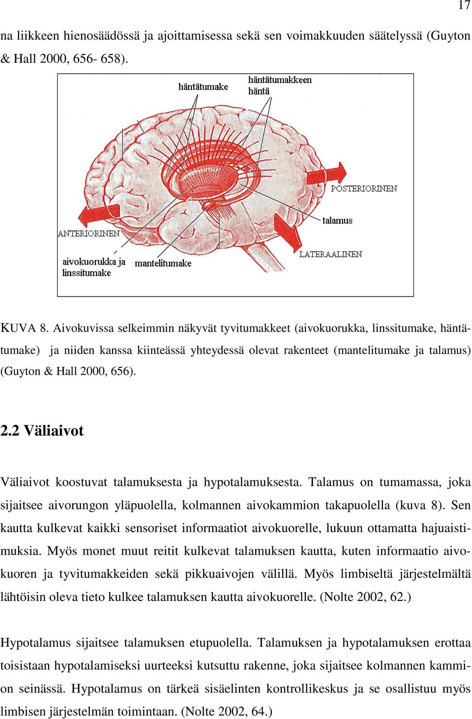 00, 656). 2.2 Väliaivot Väliaivot koostuvat talamuksesta ja hypotalamuksesta. Talamus on tumamassa, joka sijaitsee aivorungon yläpuolella, kolmannen aivokammion takapuolella (kuva 8).