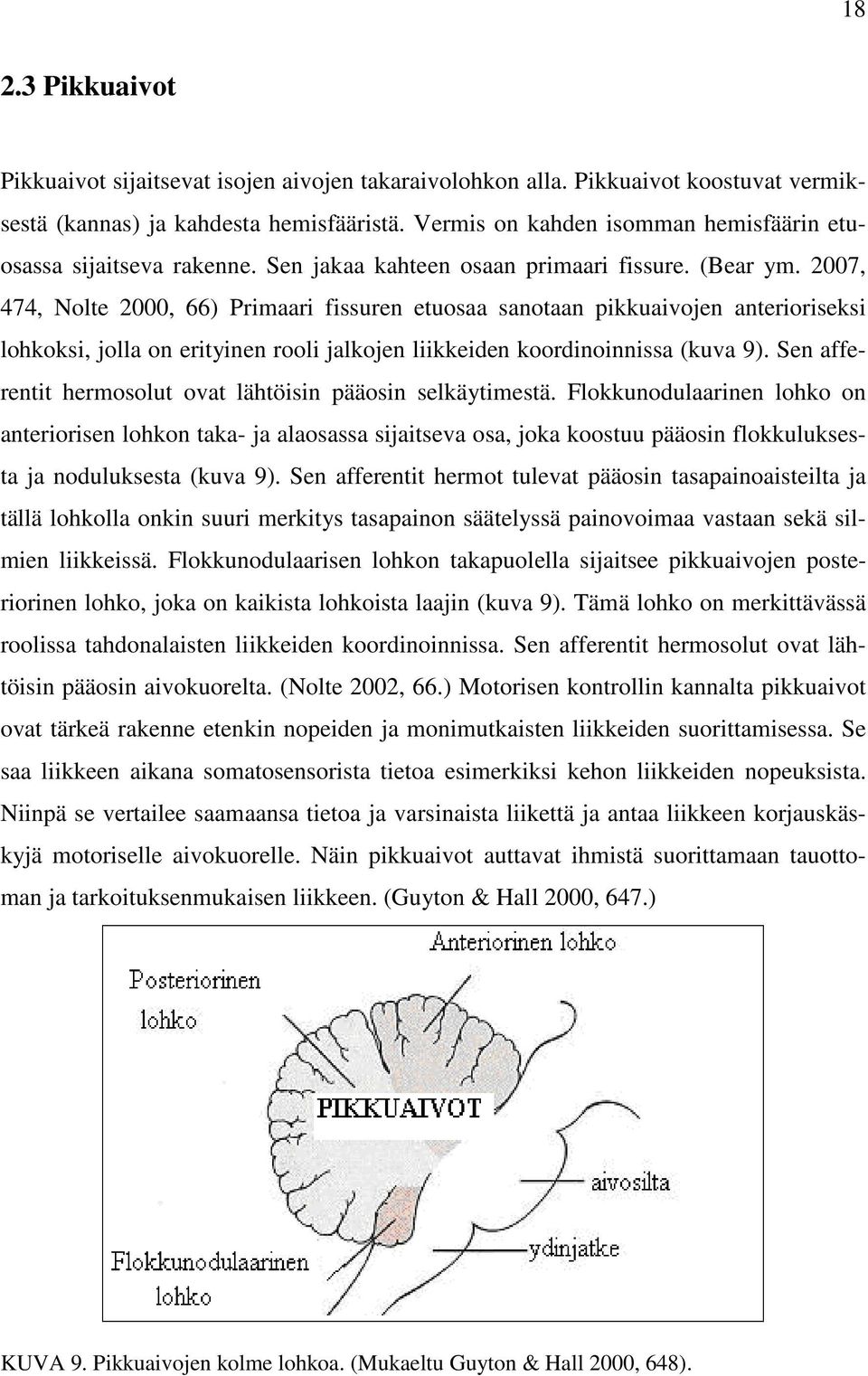 2007, 474, Nolte 2000, 66) Primaari fissuren etuosaa sanotaan pikkuaivojen anterioriseksi lohkoksi, jolla on erityinen rooli jalkojen liikkeiden koordinoinnissa (kuva 9).