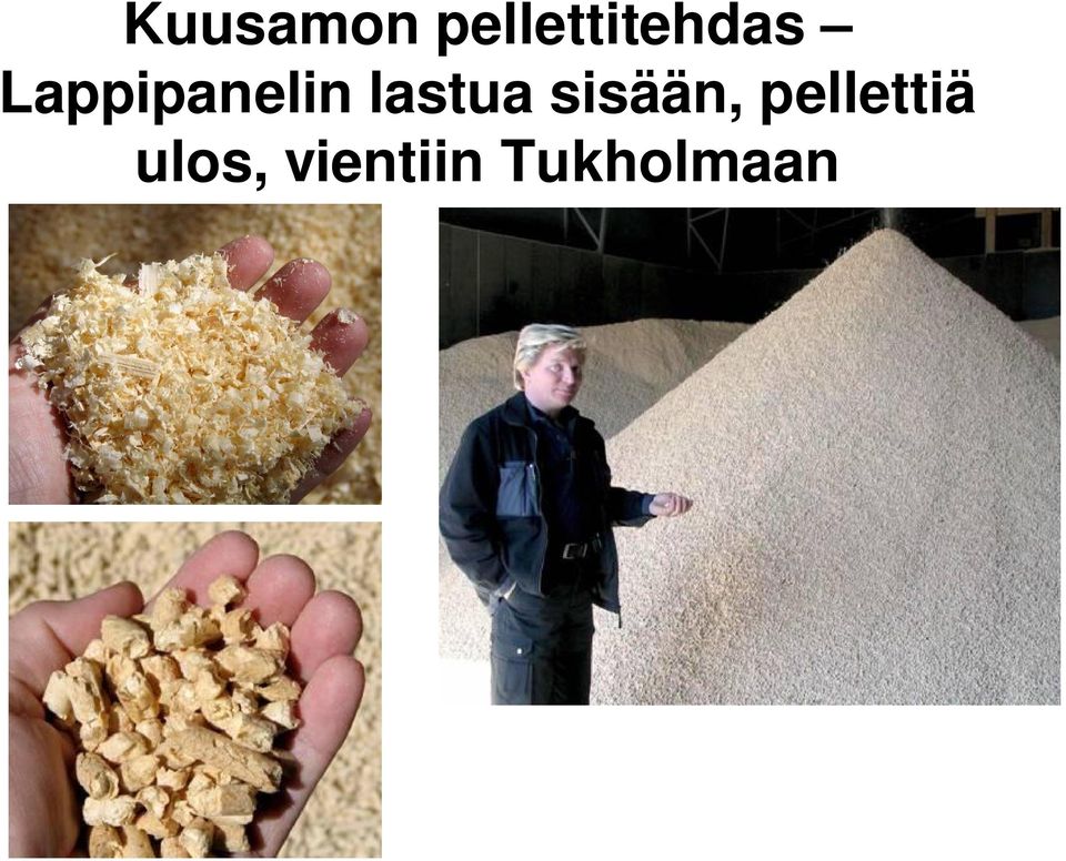 Lappipanelin lastua