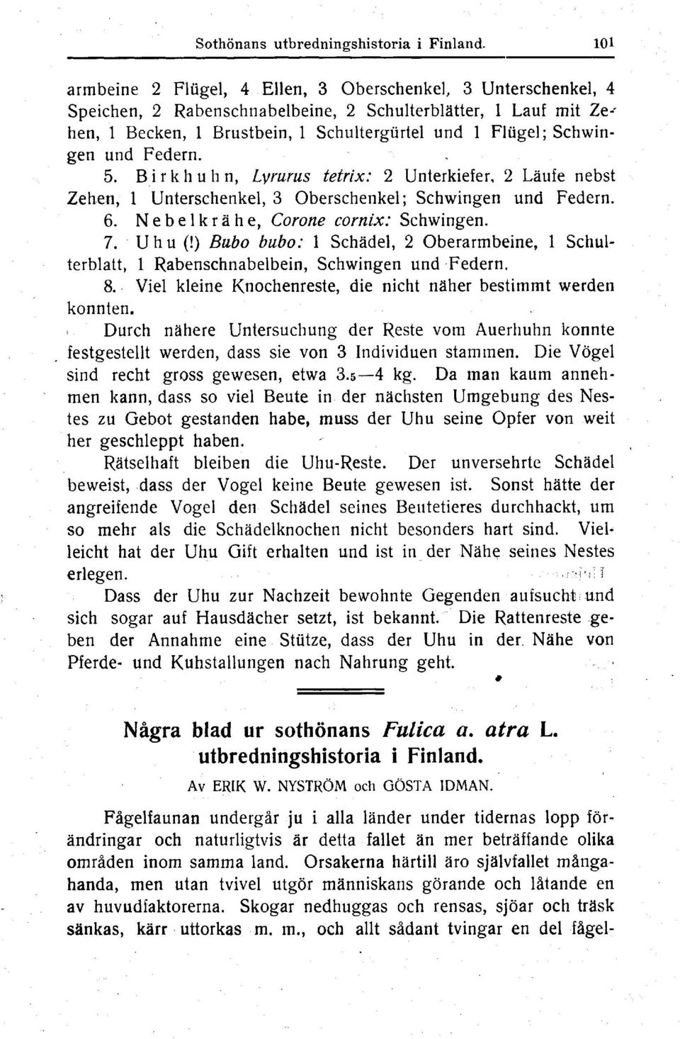 und Federn. 5. B i r k h u h n, Lvrurus tetrix : 2 Unterkiefer, 2 Läufe nebst Zehen, 1 Unterschenkel, 3 Oberschenkel ; Schwingen und Federn. 6. Nebelkrähe, Corone cornix : Schwingen. 7. Uhu (!