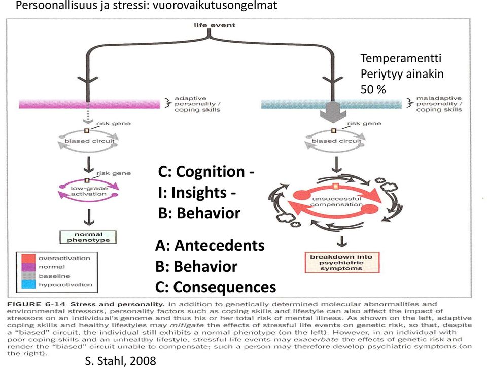 ainakin 50 % C: Cognition - I: Insights - B: