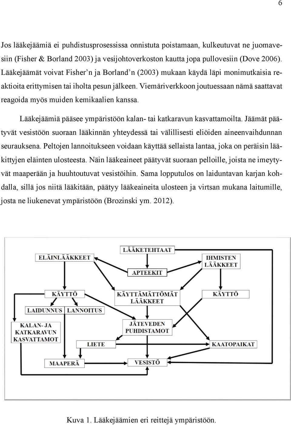 Viemäriverkkoon joutuessaan nämä saattavat reagoida myös muiden kemikaalien kanssa. Lääkejäämiä pääsee ympäristöön kalan- tai katkaravun kasvattamoilta.