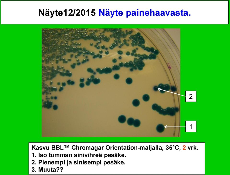 Orientation-maljalla, 35 C, 2 vrk. 1.