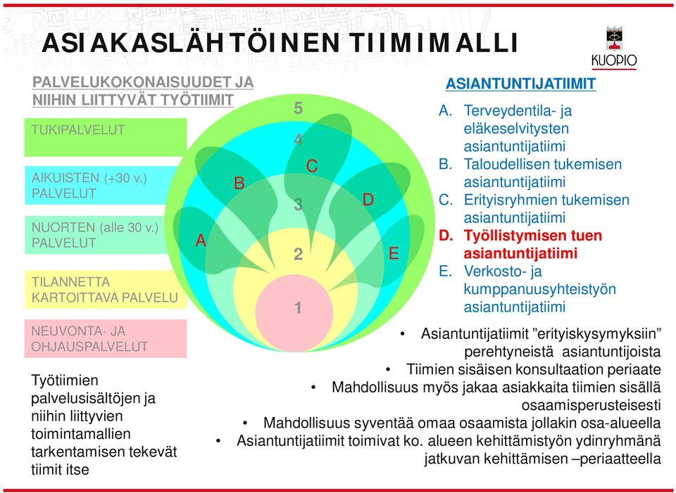 ASIANTUNTIJATIIMIT A. Terveydentila- ja eläkeselvitysten B. Taloudellisen tukemisen C. Erityisryhmien tukemisen D. Työllistymisen tuen E.