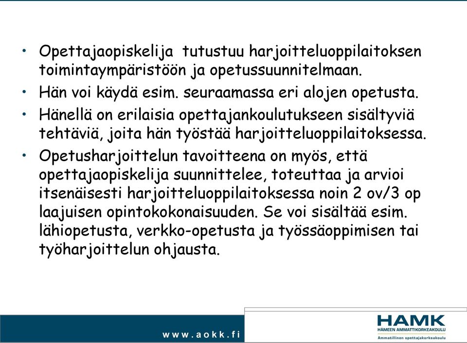 Hänellä on erilaisia opettajankoulutukseen sisältyviä tehtäviä, joita hän työstää harjoitteluoppilaitoksessa.