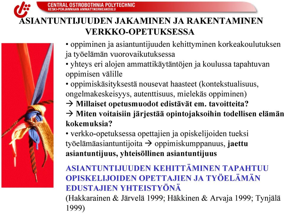 tavoitteita? Miten voitaisiin järjestää opintojaksoihin todellisen elämän kokemuksia?