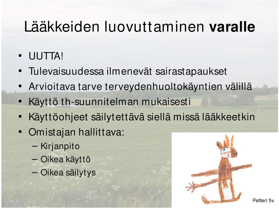 terveydenhuoltokäyntien välillä Käyttö th-suunnitelman mukaisesti