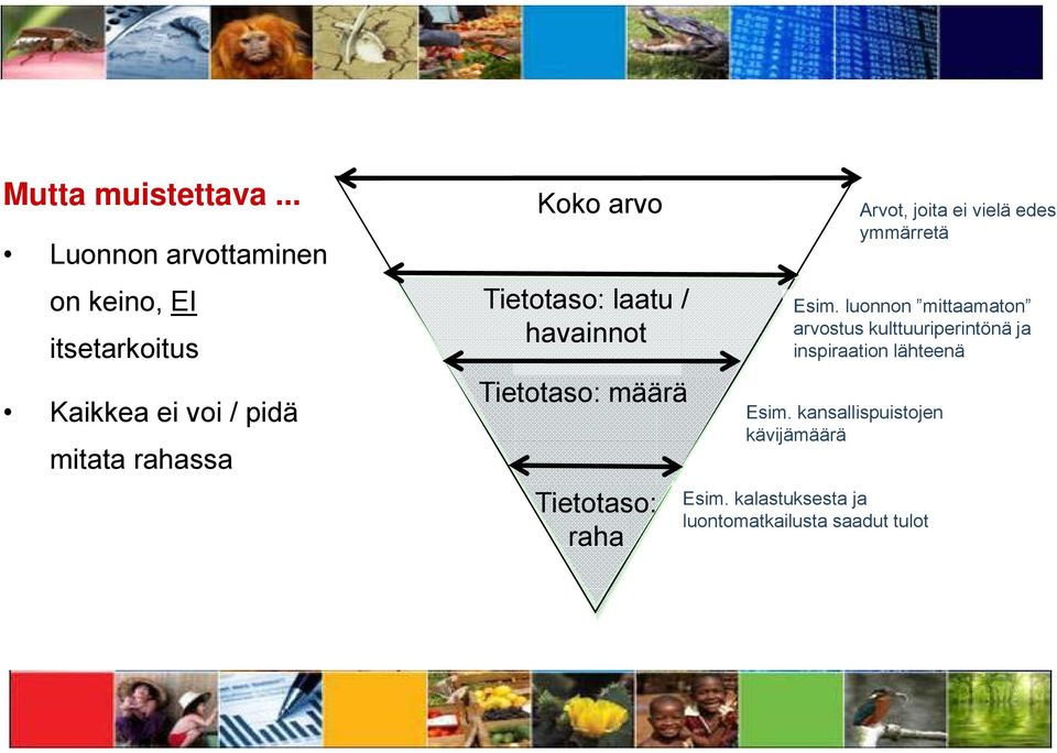 arvo Tietotaso: laatu / havainnot Tietotaso: määrä Tietotaso: raha Arvot, joita ei vielä edes