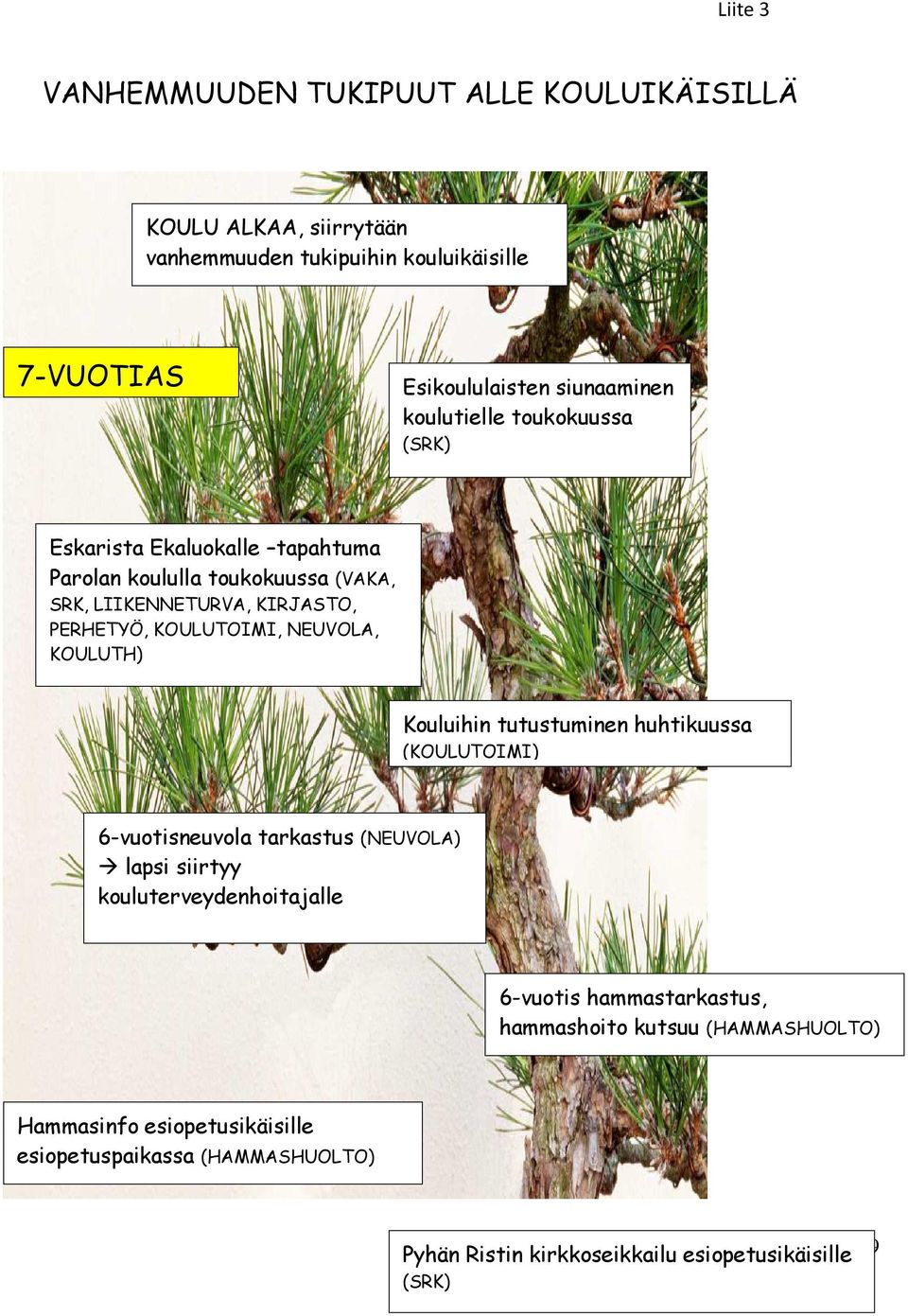 NEUVOLA, KOULUTH) Kouluihin tutustuminen huhtikuussa (KOULUTOIMI) 6-vuotisneuvola tarkastus (NEUVOLA) lapsi siirtyy kouluterveydenhoitajalle 6-vuotis